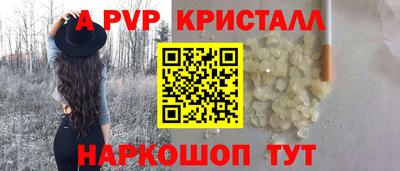 крисы Гагарин