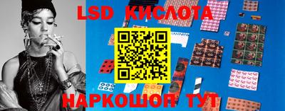 прущие крисы Гатчина