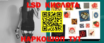 прущие крисы Гатчина