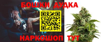 прущие крисы Гатчина