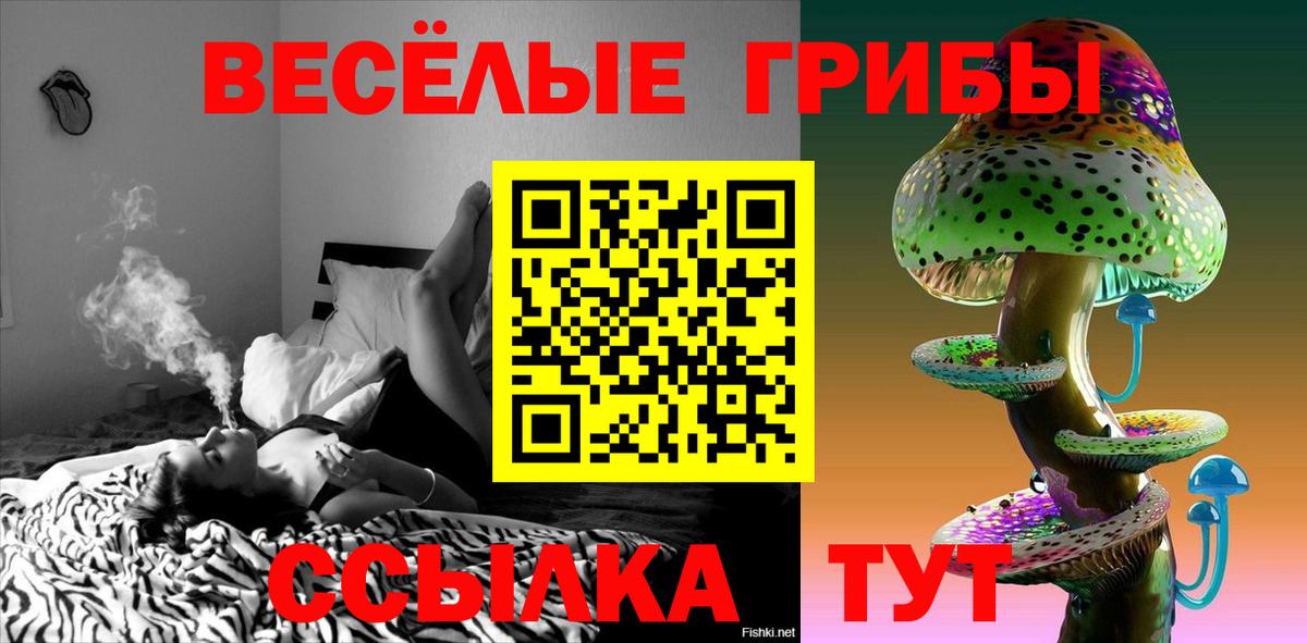 Псилоцибиновые грибы GOLDEN TEACHER Мурино