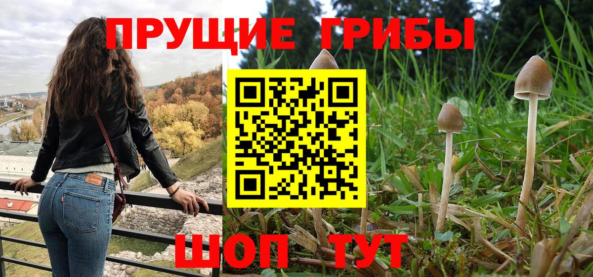 Псилоцибиновые грибы Cubensis  Вход с VPN  Псилоцибиновые грибы MAGIC MUSHROOMS  Мурино 
